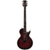 Imagen 50 Jackson DR12MG Pro Series Diamond Rowe Signature Dark Rose