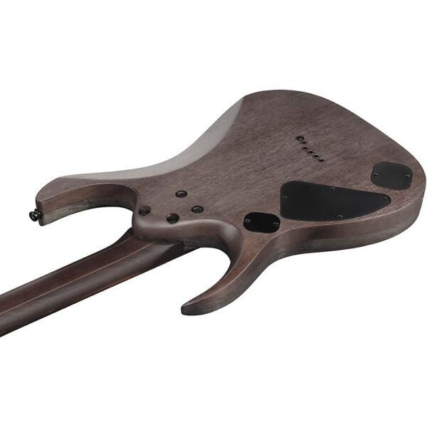 Ibanez Standard RGD621AH Guitarra Electrica Midnight Shade Flat