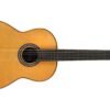 Cordoba Luthier C12 CD Guitarra Acustica Clasica Cuerdas De Nylon Western Red Cedar