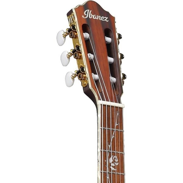 Ibanez TOD10N Tim Henson Signature Guitarra Electroacustica Color Negro
