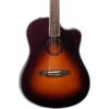 Lr Baggs AEG-1 Guitarra Electroacustica Color Sunburst