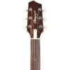 Lr Baggs AEG-1 Guitarra Electroacustica Color Sunburst