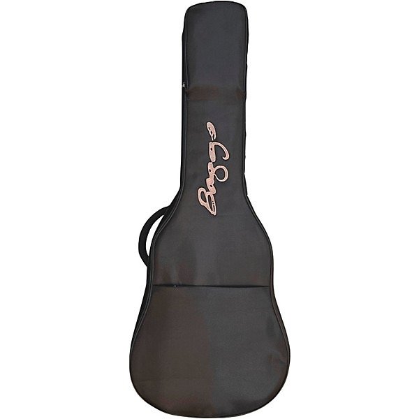 Lr Baggs AEG-1 Guitarra Electroacustica Color Sunburst