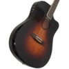 Lr Baggs AEG-1 Guitarra Electroacustica Color Sunburst
